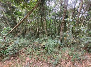 Imagem 1 · Terreno para venda em Centro, Camanducaia
