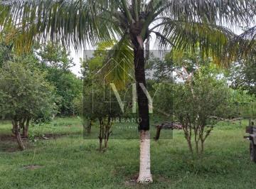 Imagem 1 · Terreno para venda em Centro, Rosário Oeste