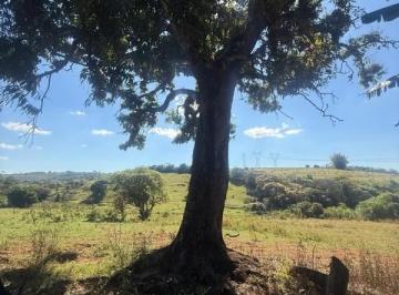 Imagem 1 · Chácara para venda em Centro, Nepomuceno