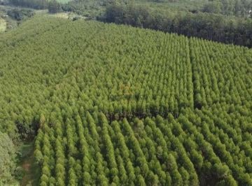Rural de 3 quartos, Avaré · Fazenda / Sítio para venda em Alto de 525000.00m² com 3 Quartos e 3 Garagens