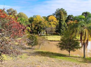 Rural · 120m² · 4 Quartos · Rurais à venda - em Monte Bérico