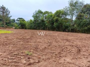 Comercial · 5000m² · Comercial à venda - em Monte Bérico