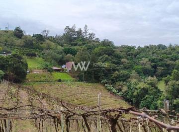 Rural · 24000m² · Rurais à venda - em Loreto