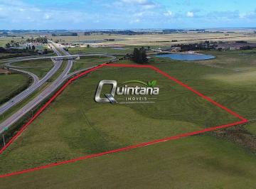 Terreno · 60000m² · Área de 6 ha às Margens da BR-116 em São Lourenço do Sul