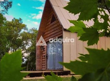 Rural · 42m² · 1 Quarto · Chácara em Baio, São João Do Triunfo/PR de 42m² 1 quartos à venda por R$ 300.000,00