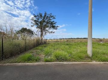 Terreno · 224m² · Terreno em Centro, São José do Rio Preto/SP de 224m² à venda por R$ 98.500,00