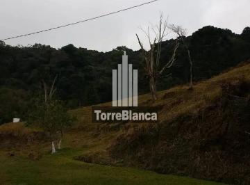 Rural · 85000m² · 2 Quartos · Fazenda em Cerradinho, Itaiacoca/PR de 85000m² 2 quartos à venda por R$ 850.000,00