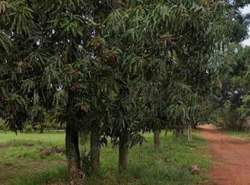 Terreno · 3000m² · Terreno em Bananal, Campinas/SP de 0m² à venda por R$ 580.000,00
