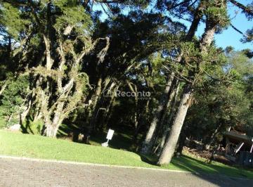 Terreno · 595m² · Terreno em Centro, Canela/RS de 595m² à venda por R$ 1.400.000,00
