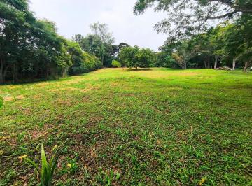 Terreno · 5000m² · Terreno em Parque Silvino Pereira, Cotia/SP de 0m² à venda por R$ 3.900.000,00