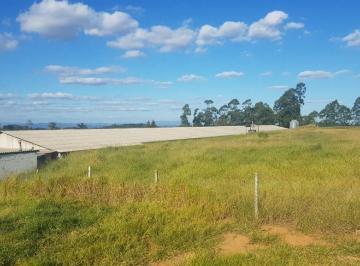 Rural · 60000m² · Sítio em Centro, Amparo/SP de 0m² à venda por R$ 4.200.000,00