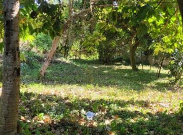 Terreno · 13000m² · Terreno em Piratininga, Niterói/RJ de 0m² à venda por R$ 4.000.000,00