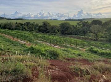 Rural · 300m² · Sítio em Conjunto Habitacional Jamile Dequech, Londrina/PR de 300m² à venda por R$ 2.800.000,00