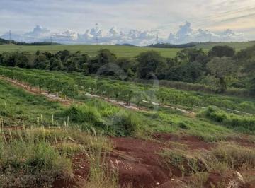 Rural · 300m² · Sítio em Conjunto Habitacional Jamile Dequech, Londrina/PR de 300m² à venda por R$ 2.800.000,00
