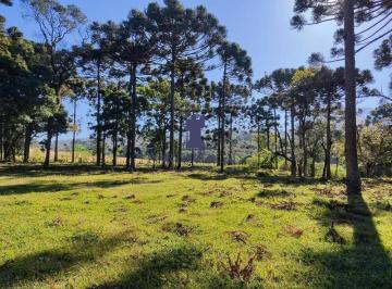 Imagem 1 · Sítio para venda em Bugre, Balsa Nova