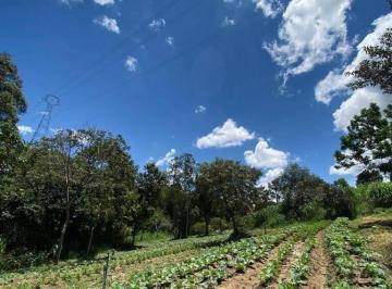 Imagem 1 · Sítio para venda em Área Rural de Amparo, Amparo