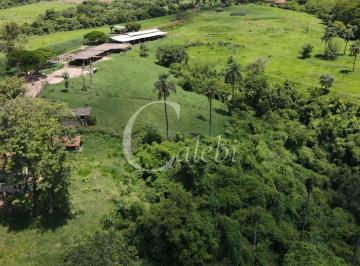 Imagem 1 · Sítio para venda em Área Rural de Casa Branca, Casa Branca