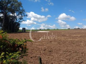 Imagem 1 · Sítio para venda em Artur Nogueira