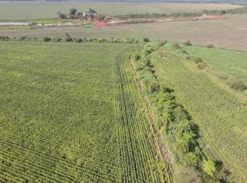 Imagem 1 · Terreno para venda em Centro, Guaçu