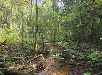 Parte baixa do terreno · Terreno à venda em Brumadinho-MG, bairro Piedade do Paraopeba, 24.000m² de área, com vista da serra