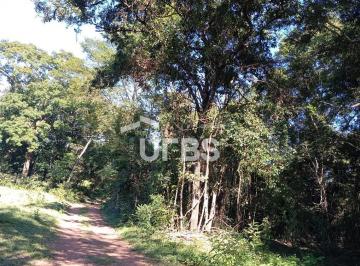 Comercial · 54000m² · Oportunidade de chacará com mata exuberante