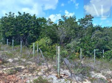 image_re_2783770.jpg · Lote/Terreno de 913m² no bairro Praia do Forte, em Mata de São João