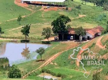 Foto 10 · MARAVILHOSA FAZENDA 96 ALQUEIRES EM LORENA !