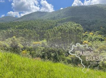 Foto 01 · FAZENDA 150 ALQUEIRES COM EUCALIPTO EM PARAIBUNA !