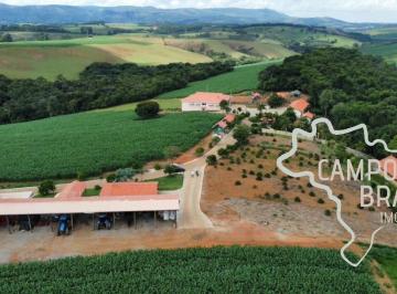 Foto 01 · FAZENDA 70.66 ALQUEIRES COM BELÍSSIMA ESTRUTURA PARA PECUÁRIA E LAVOURA !