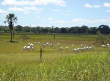 Foto 01 · Sítio - Buritizeiro