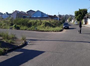 Foto 04 · Terreno - Aparecida
