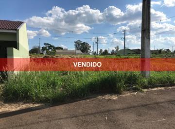 Foto 01 · Terreno - Faxinal