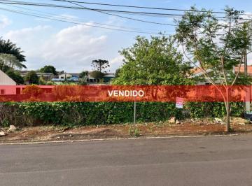 Foto 01 · Terreno - Faxinal