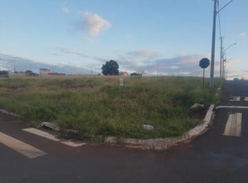 Foto 01 · Terreno - Faxinal