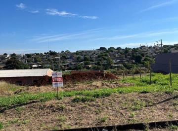 Foto 01 · Terreno - Faxinal