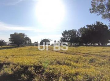 Comercial · 339200m² · Araguari/MG: Fazenda com Potencial Triplo - Mineração, Agropecuária e Plantio! Descubra uma fazenda