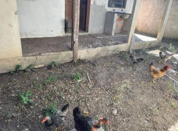 Imagem 1 · Casa para venda em Centro, Araruama