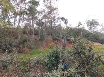 Imagem 1 · Terreno para venda em São José da Boa Morte, Cachoeiras de M