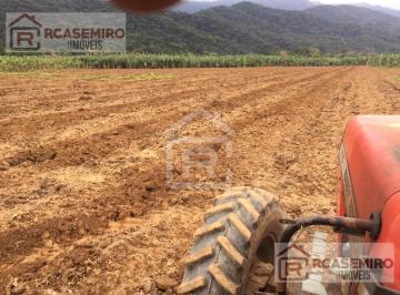Foto 05 · Fazenda com rentabilidade em produção de Banana