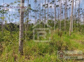 Foto 01 · Fazenda localizada em Iguapé-SP com área total de 55 alqueires