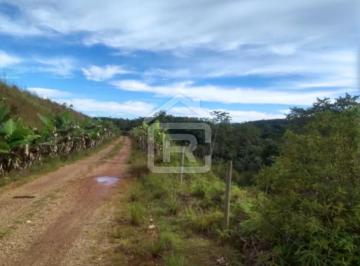 Foto 01 · Fazenda rica em água, com área total de 24 alqueires sendo 15 alqueires pasto