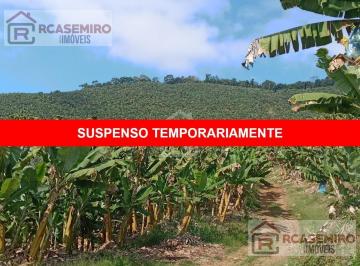 Foto 01 · Fazenda localizada em Pedro de Toledo com 40 alqueires totais, produzindo 3 mil caixas de banana por