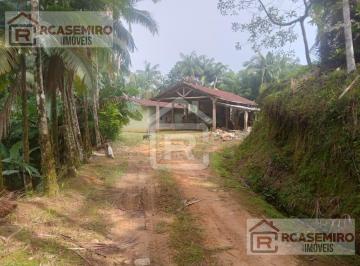 Foto 01 · Sítio localizado em Miracatu-SP com plantio de bananas
