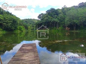 Foto 02 · Fazenda Localizada em Iguape- SP, contendo 80 mil pés de palmito pupunha produzindo