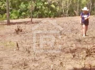 Foto 01 · Terreno aproximadamente 50% aberto, localizado em um lugar tranquilo, bom acesso.