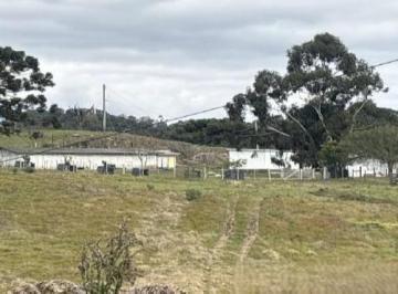 Rural · 188453m² · Rurais - leilão - em Farroupilha