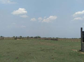 Rural · Fazenda em Ribeirão Cascalheira / MT / 11900 hectares total / Benfeitorias completas / Pista de Pous