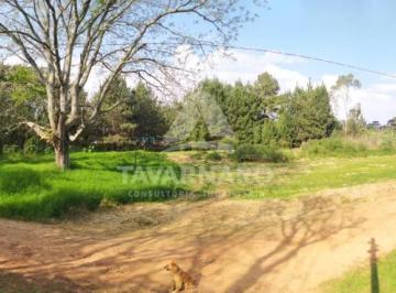 Terreno · 465m² · Terreno Padrão em Ponta Grossa