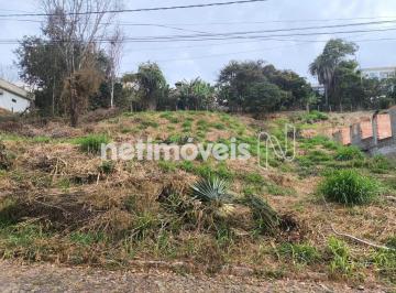 165fc916-1d58-4226-a7a8-31db617722c8.webp · Lote de 1.000 m² no Condomínio Vale do Tamanduá – Espaço, Natureza e Tranquilidade