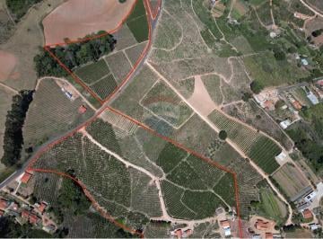 Rural · 480m² · 9 Quartos · 2 Vagas · Fazenda / Sítio para venda em Centro de 480.00m² com 9 Quartos e 2 Garagens